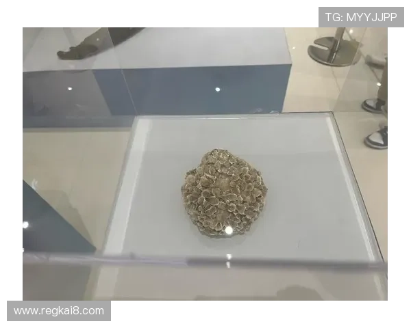 如何安全访问K8厅官网，避免虚假网站，保障账号安全与游戏体验提升